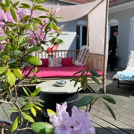 Hotell Feels Club 3*