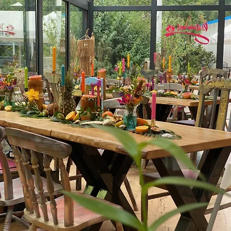 Hotell Feels Club 3*